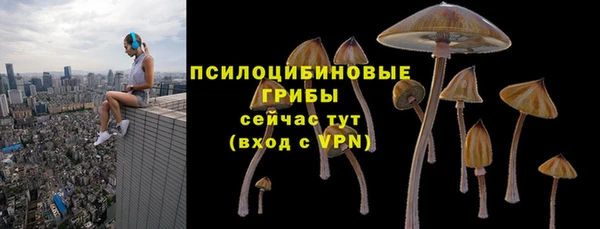 ECSTASY Абдулино