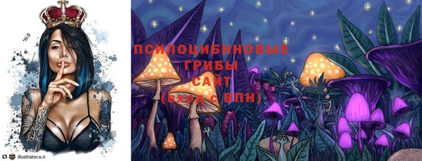 круглые Абаза