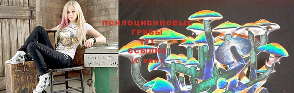 винт Алексин