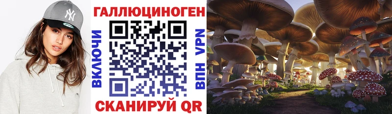 Псилоцибиновые грибы прущие грибы  omg зеркало  Елизаветинская 